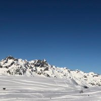 @BerthaParkSki (@berthaparkski) 's Twitter Profile