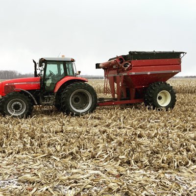 chris93467297's profile picture. Canada