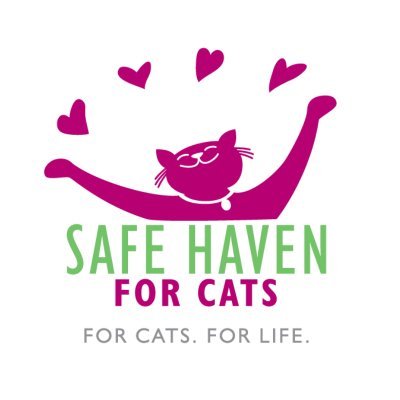 SAFE Haven for Cats is Raleigh's No Kill shelter serving Wake, Durham, Orange and Franklin counties.