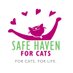 SAFE Haven (@SafeHaven4Cats) Twitter profile photo