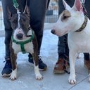 Steven Buehler - @StevenBuehler1 - Twitter