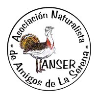 AnserSerena (@anserserena) 's Twitter Profile Photo AnserSerena (@anserserena) 's Twitter Profile Photo