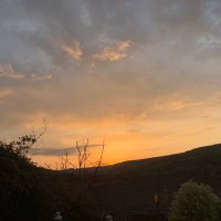 RECOstudy (@ostudyrec) 's Twitter Profile