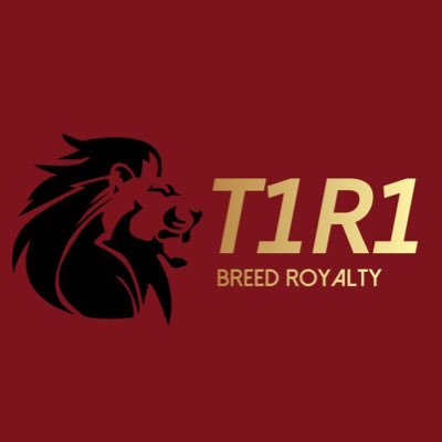 KYT1R1's profile picture. Mission:Help kids realize & achieve their dreams while helping boys become men.
Vision:Bring our community championships while keeping a focus in the classroom.