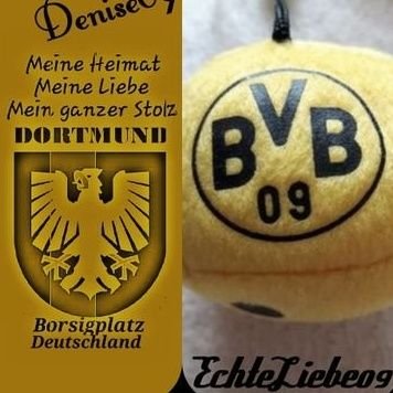 Borussia Dortmund Fan