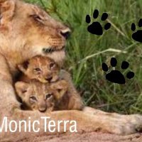 MoTe🐾🇦🇷🐾(@MonicTerra) 's Twitter Profile Photo