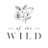 ofthe_wild's profile image