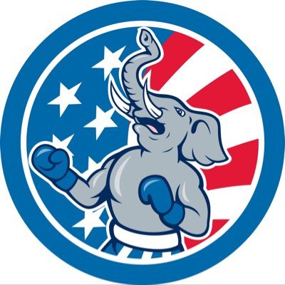 RepubRepartee's profile picture. Calling out Leftists for their BS.    Diagnosing them with #TDS. MSM is #FakeNews - can that be? Yes! So turn off that CNN, NBC, CBS.