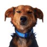 caxaria's profile picture. AI at Coverflex. Used to CTO at Codacy. This is not the profile you're looking for 👋🏻