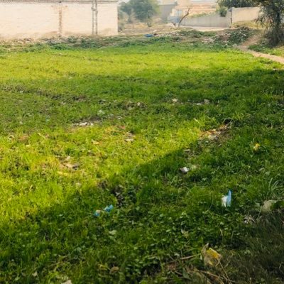 hotvideo0's profile picture. only 18+ daily upload erotic desi rare hardcore videos