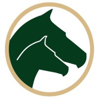 Woodlands Stud NZ (@woodlandsstudnz) 's Twitter Profile