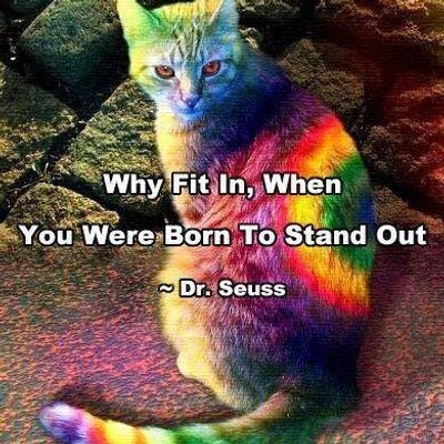 SusanMicheleHu1's profile picture. Playwright, Dreamer, Part-time Unicorn
This is NOT Tinder.  Drowner of CATFISH.