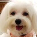 Suzanne Goh - @szgoh - Twitter