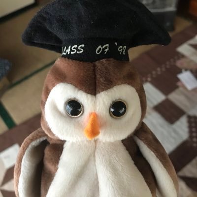 kasegata's profile picture. どんすけです。どんすけって名前はママにつけてもらいました。気軽に「どん」って呼んでね!!(このアカウントはどんすけに完全委託されました。加瀬とは全く関係ありません。)