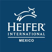 Heifer México (@heifermexico) 's Twitter Profile