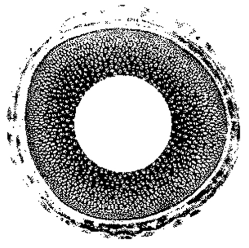 mujitsu's profile picture. Maker of Mujitsu and Taimu Shakuhachi bamboo flutes.