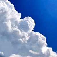 Alej G (@cinephile420) 's Twitter Profile Photo