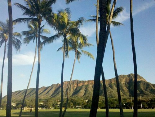 nlovekingman's profile picture. Public policy. Nonprofits. Democracy. Civic engagement. Travel. Ukulele. Dessert.