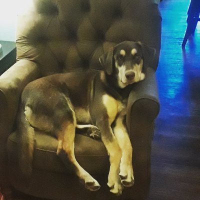 rags1523's profile picture. Dean of Students at the very best high school. Mom of 5 amazing kids.
Trying to keep myself honest, humble and kind.