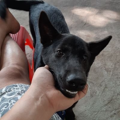 hung_nn's profile picture. No Face No Name No Number