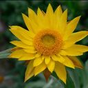 Jim Tseng - @jimt8374 - Twitter