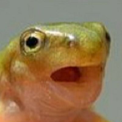 S A D ¦
28 ¦
Annoying ¦
Pls Befriend me