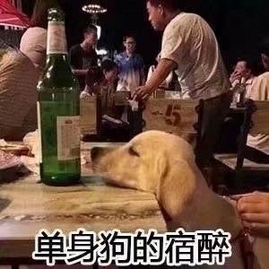 guojin15427288's profile picture. 