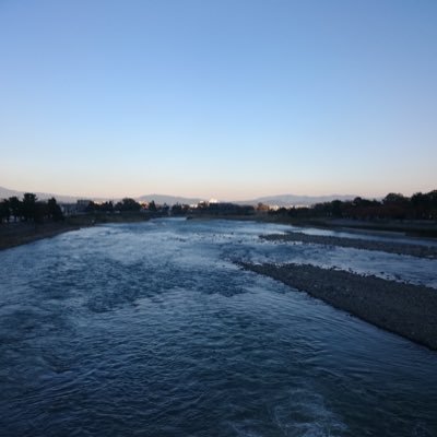hachirou_shima's profile picture. 