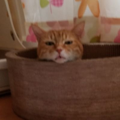 riku0games's profile picture. ゲーム用。商人112。ヴァルコネはついていけなくなりました。