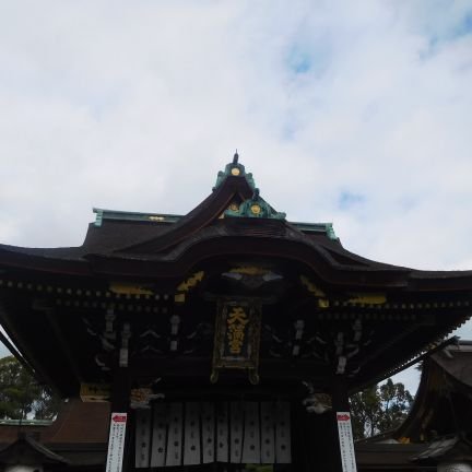 brasstea001's profile picture. 中学・高校で吹奏楽部でチューバを経験。趣味は音楽鑑賞・食べ歩き・旅行・乗り物に乗ること・温泉巡りです。