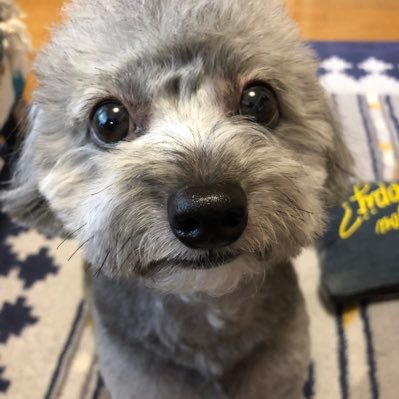 xWzm11GcwgOiLT3's profile picture. 