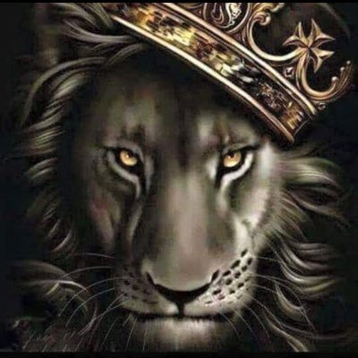 RebellWisdom's profile picture. 