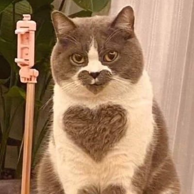 smartcap05's profile picture. Gundam. Anime. Figs.