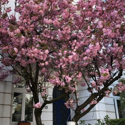 aemgerman's profile picture. 