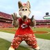 chiefs88oc (@chiefs8645) Twitter profile photo chiefs88oc (@chiefs8645) Twitter profile photo