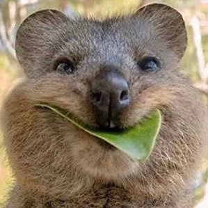 LiamONe41963804's profile picture. Student at Abertay University