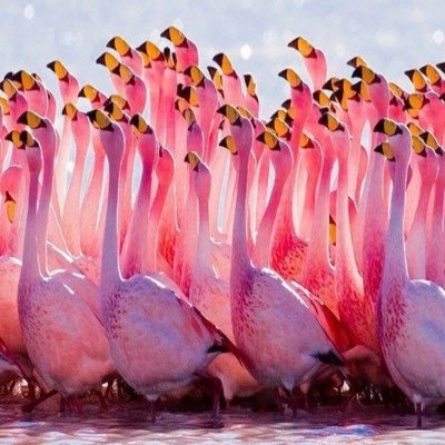 Ginnsue's profile picture. So much to share...