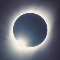 l'éclipse éternelle 🟩🦁🌞🟥 (@eclipseternelle) 's Twitter Profile