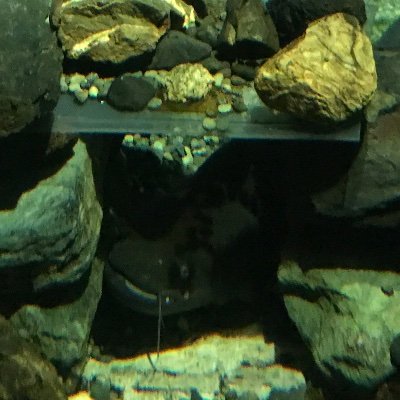 bitswitcher's profile picture. 