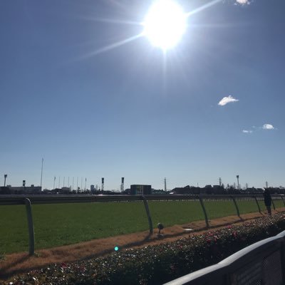 馬券備忘録。2022.12〜再開しました。馬券はセンス。