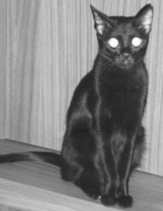 HPMVTYM's profile picture. 