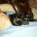 Mark Daugherty - @markldaugherty - Twitter