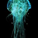 Derrick Bingham - @DPBINGHAM - Twitter