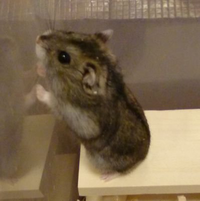 uuさんのプロフィール画像