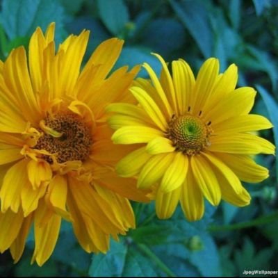 Lulusal76540397's profile picture. اللهم ارزقنا الهدى والتقى والعفاف والغنى والفوز بالجنة والنجاة من النار