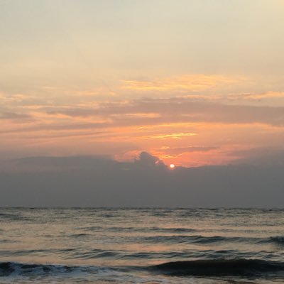 mstangkwaiix's profile picture. 