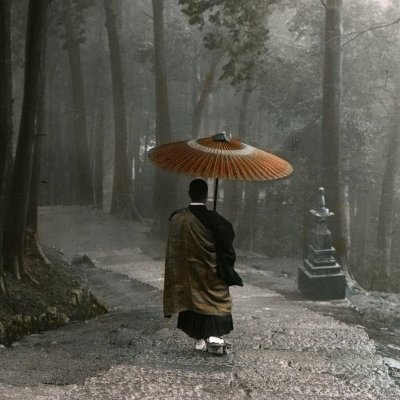 AraSaez1's profile picture. 