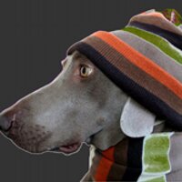 snowbrainer (@snowbrainer) 's Twitter Profile
