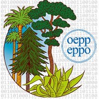 IT Officer at EPPO