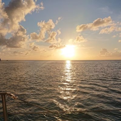 bkZqRxNdb8CieoV's profile picture. 旅行好き💕四代目市川猿之助さん💕米米CLB好き💕穴井豪さん好き💕ブギウギ橘先輩からOSK日本歌劇団翼和希さんを知り沼落ち💕